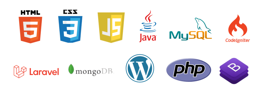 best website development & Digital Marketing services in raipur